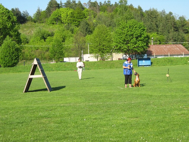 www.atibox.net * www.euroboxer.eu * www.boxergenealogia.eu